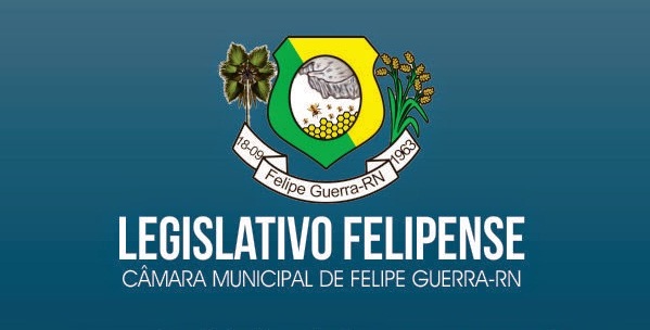 COMISSÕES PERMANENTES.